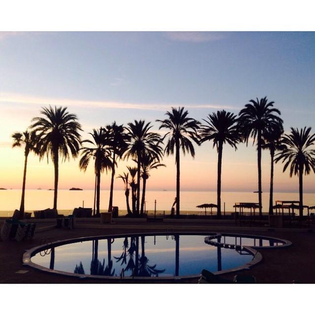 InstaIbiza's tweet image. Ibiza sunrise. #nofilter #welost #butitsokay #newday #palmtrees #sky #sea #Ibiza #sleeples… ift.tt/1EZ0Rbn