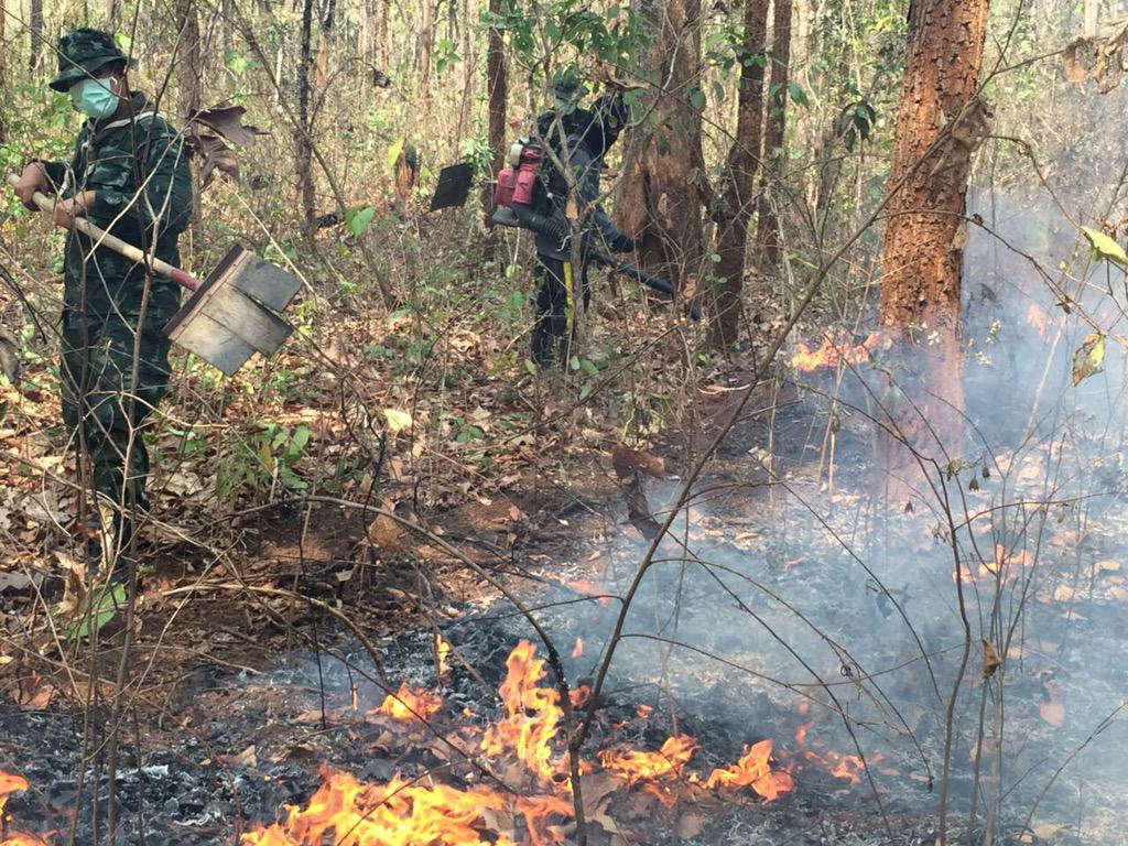 armypr_news's tweet image. เช้าวันนี้/3พค. กองพันทหารปืนใหญ่ 7 ร่วมกับราษฎรบ้านป่าสักงาม เข้าดับไฟป่าที่ ม.1 ต.ลวงเหนือ อ.ดอยสะเก็ด จ.เชียงใหม่