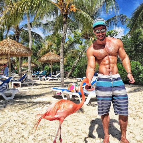 ToddJSaporito's tweet photo. #Tumblr: (#mystraightfriend @mystraightfriend) #itsToddS #ToddJSaporito #RealMen!! #Post2Twitter #inkedMen #tattoo … http://t.co/sLioVfgyjg