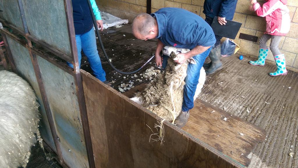 WiltshireYFC's tweet photo. Lots of activities taking place today @SouthWestAreaYF @NFYFC http://t.co/yUNaypRBD3