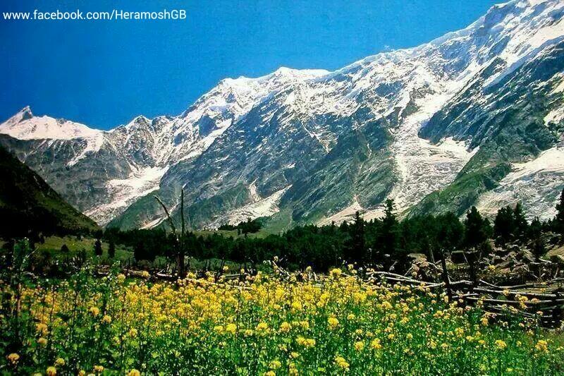 HaramoshKutwal's tweet photo. @BeautiesOfPak http://t.co/szmX6gSMb7 
North of #Pakistan Gilgit-Baltistan http://t.co/Uyvdoq05aE
