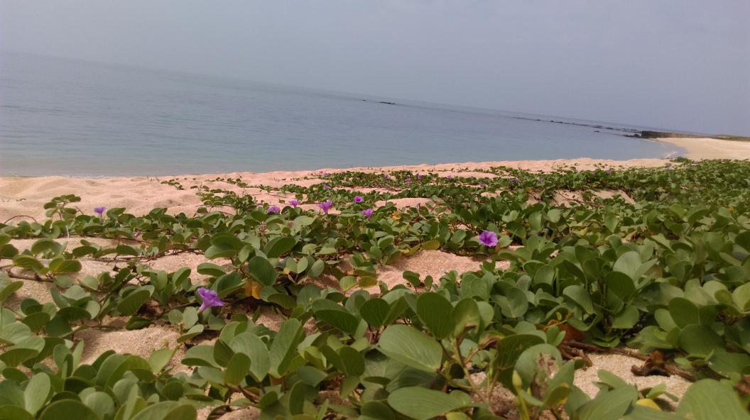 peter7031's tweet photo. 清澈的海水明亮的景色，我的心卻是一片憂鬱 http://t.co/ty2ps7Sokx