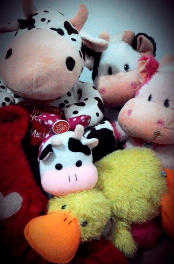♥moo♥you :*