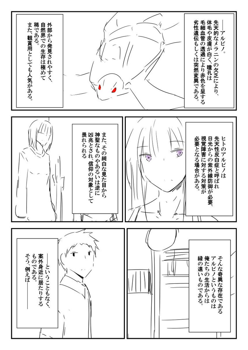 アルビノ漫画 1と2 