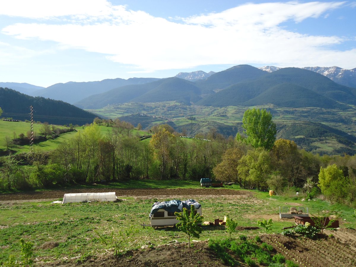 NutricionSen's tweet photo. Buenos días! Despierta en medio de la naturaleza, sintiénte parte de ella y nútrete de toda la energía universal. http://t.co/BK7qiH2RS2