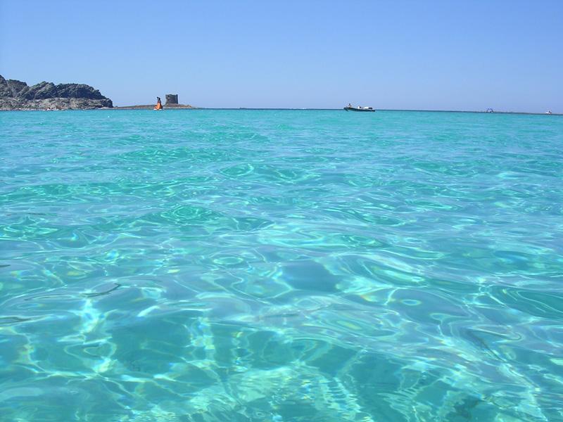 Fabiomanuelmulas On Twitter Oggi Così Stintino Spiaggia