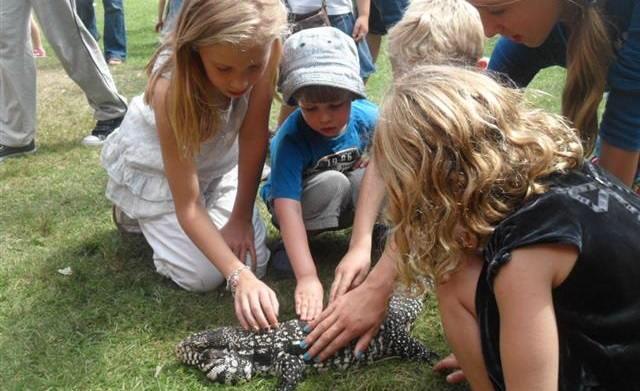 PistachiosITP's tweet photo. The wild Animal Centre"Mobile Zoo" coming May half term week. Check out our Facebook pages to see stores and dates http://t.co/uuw3FSPtwz