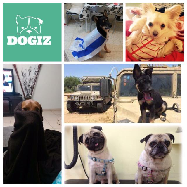 DDjanogly's tweet photo. Please vote for #Dogiz for the @StarTau #startup #competition!                   https://t.co/09GCMT0VQ3 http://t.co/d5Jwh0ekEJ