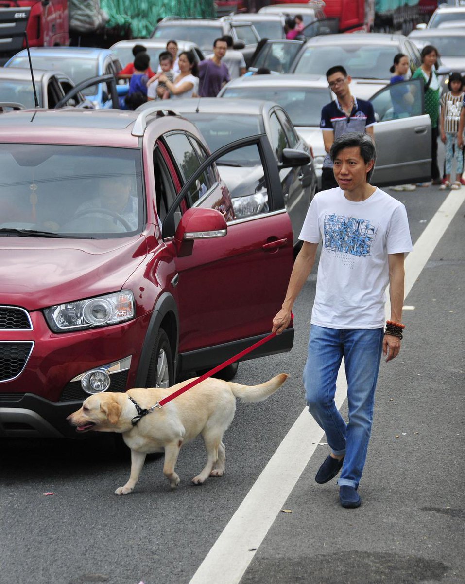 Caught in traffic jam during May Day holiday on expressway? Just walk your pet dog