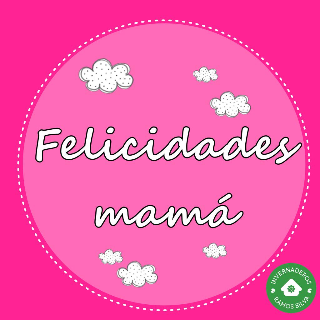InvernaderosRam's tweet photo. Con nuestras tarjetitas del #DiaDeLaMadre diseñadas por @la_puerta_falsa, queremos felicitar a todas las mamás!! http://t.co/dwRDQbQZ5g