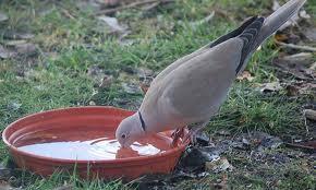 تراحيب المطيري  (@agebbdhgd) on Twitter photo 