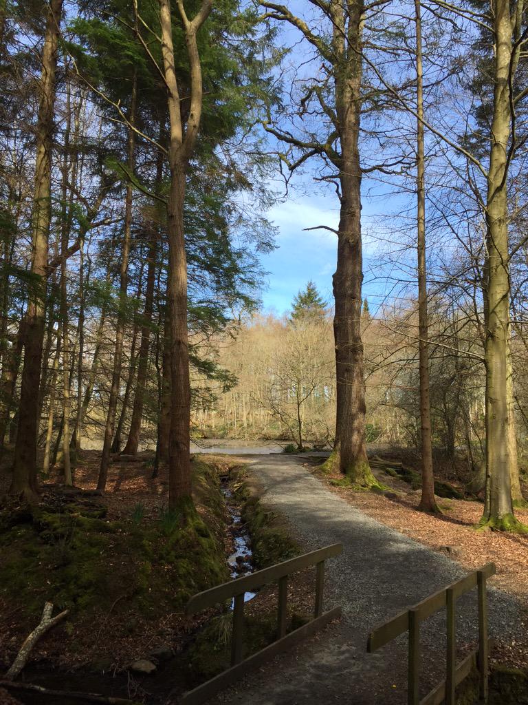 Getting lost in the woods.... Capture your memory this #BankHolidayWeekend 
appsto.re/gb/4eOfJ.i #explore