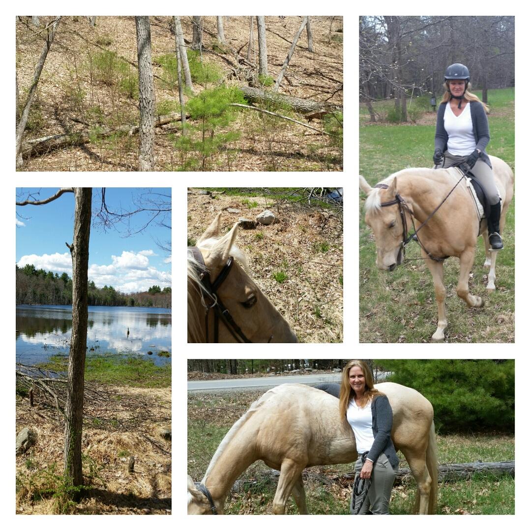 LindaChurch11's tweet photo. Great ride through #pastateforest @PoconoTourism #beautiful http://t.co/OniSIvq5Kb