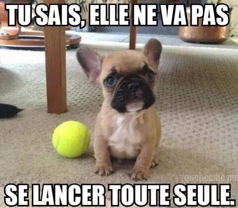 <a href="/Shannakress83/">Shanna Kress</a> 😅😉