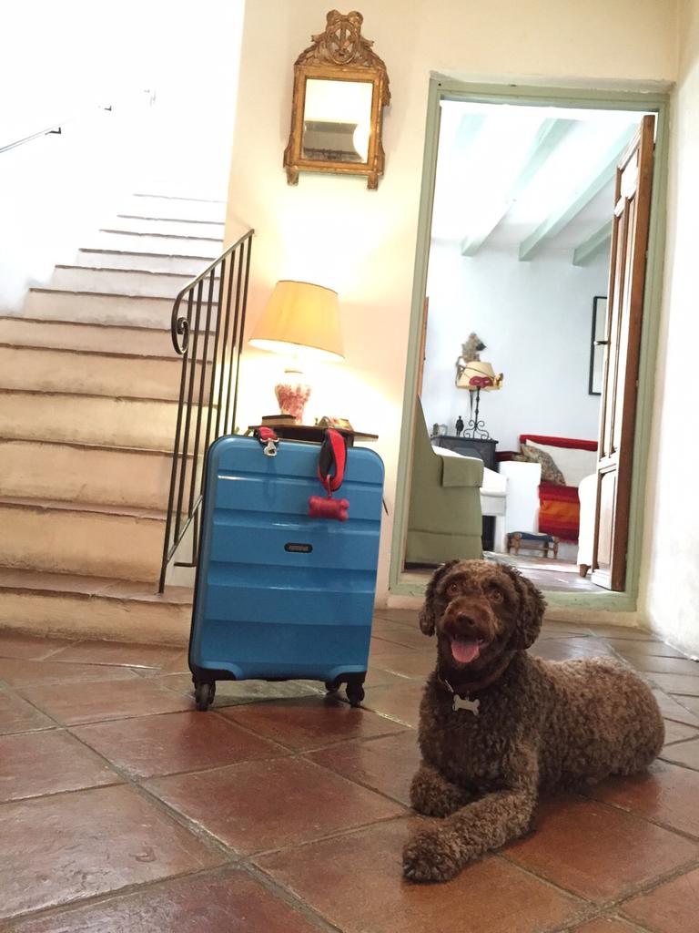 rouan_pdae's tweet photo. #diarioperruno - Genial la Casa Aire de Lecrín en Pinos del Valle #Granada. Como en casa :) #conperros #recomendar http://t.co/J21okedvCj