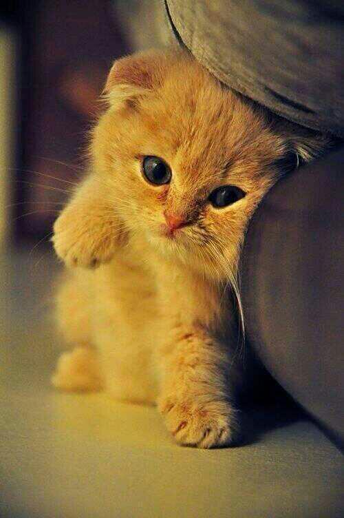 _Paisajes_'s tweet photo. RT si piensas que es lindo! http://t.co/BAbHs9yDAJ