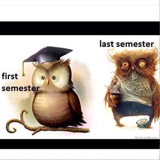 ATL_SIUC's tweet photo. #siuc http://t.co/vKv3VGz1Ty
