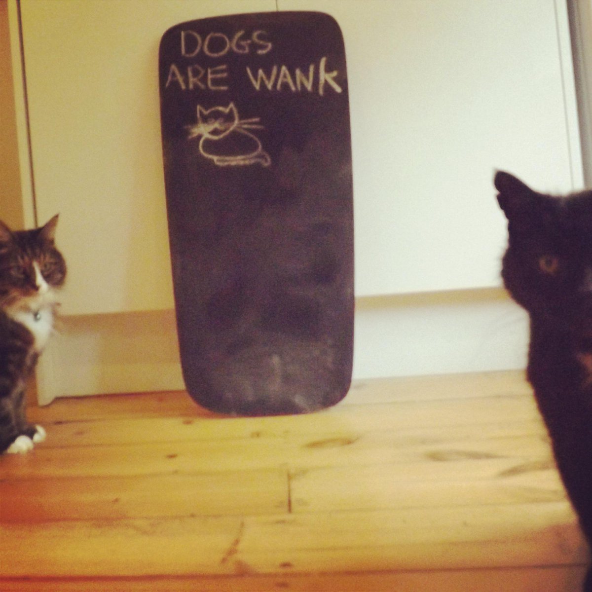 My cat is sad because my other cat wants to be a famous graffiti artist but possesses neither wit nor artistic skill.