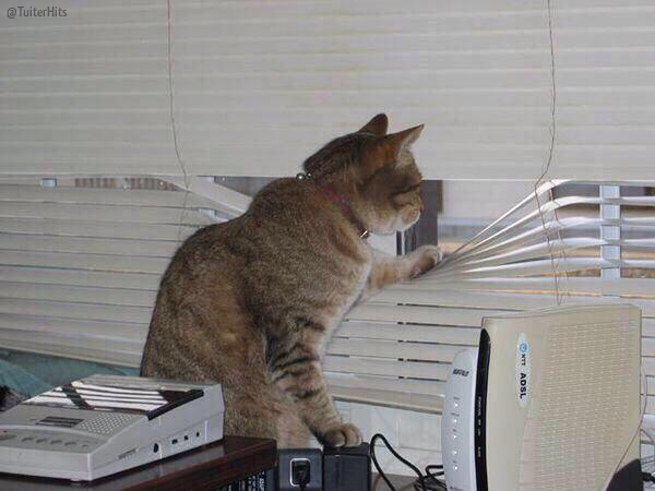 TuiterHits's tweet photo. Mi madre cuando alguien viene a buscarme a casa: http://t.co/M6rJL4o4QJ