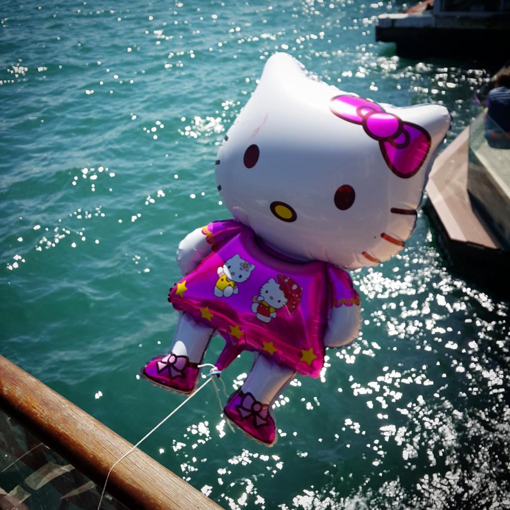erdilyasaroglu's tweet photo. Hem Hello Kitty'ye pipi yapmış, hem de ordan bağlamış zalimler. Yaşasın kötülük haha! http://t.co/a5pFawIija