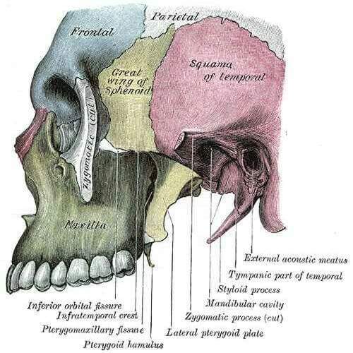 dentist763's tweet photo. http://t.co/sHLQk4sAmr