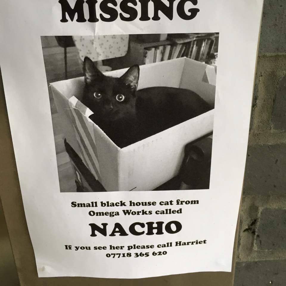 #Lost #Cat from Omega Works, Fish Island,  Omega Works, Fish Island Hackney Wicks <a href="/CentralLondonCP/">Central London CP</a> <a href="/RSPCALondon/">RSPCA Cen&NE London</a>