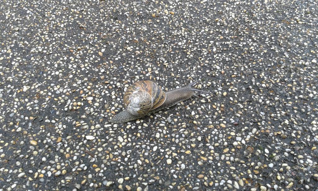 nixiesoundscap's tweet image. first member of the audience arrives bit early: nixie won&apos;t start till 3pm @wworthfringe @SuttonFilmMaker #WAFchat