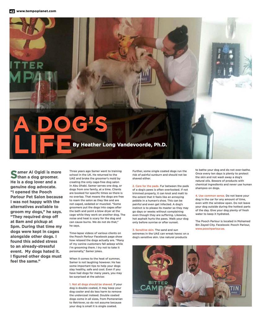 HLVFreelance's tweet photo. @PoochAUH @Tempoplanet #dogs #DogGrooming #summerdogs Tempo, May 2015 @hvdvoorde http://t.co/77r4OZPAi5