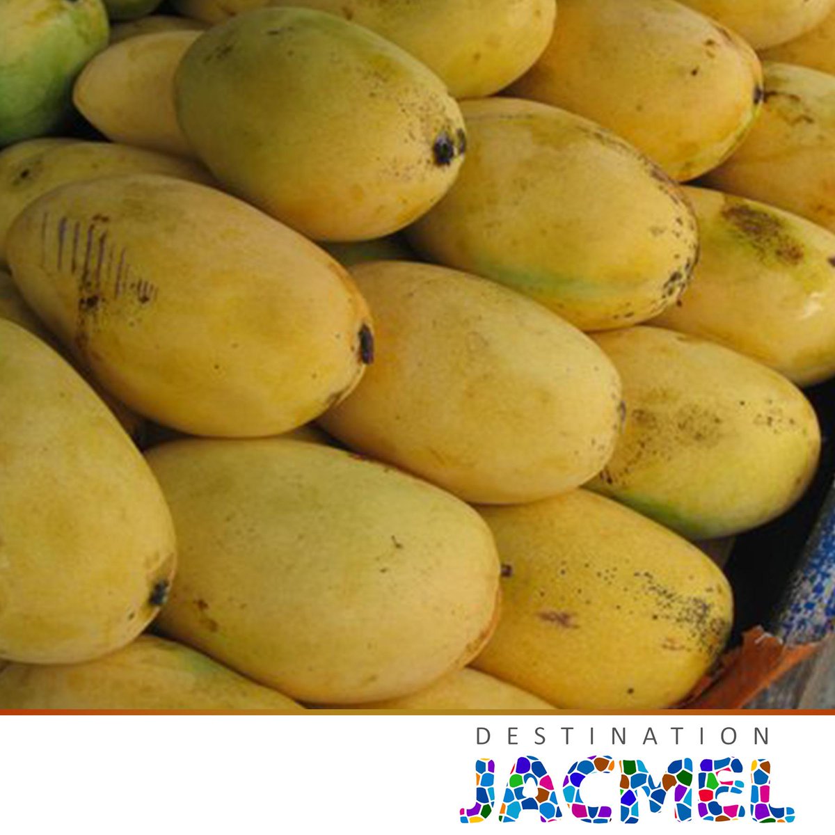 DestJacmel's tweet photo. En quittant Jacmel aujourd’hui, faites une halte sur la route pour acheter nos belles mangues! #destinationjacmel http://t.co/JN6AcAwG3X