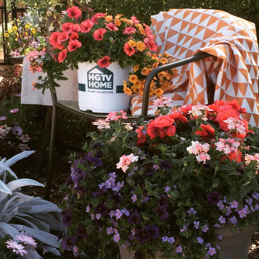 agricolaknows's tweet image. #onestepstyle with our smart, stylish annuals mixes. Available at select @homedepot stores hgtvhomeplants.com/homedepot
