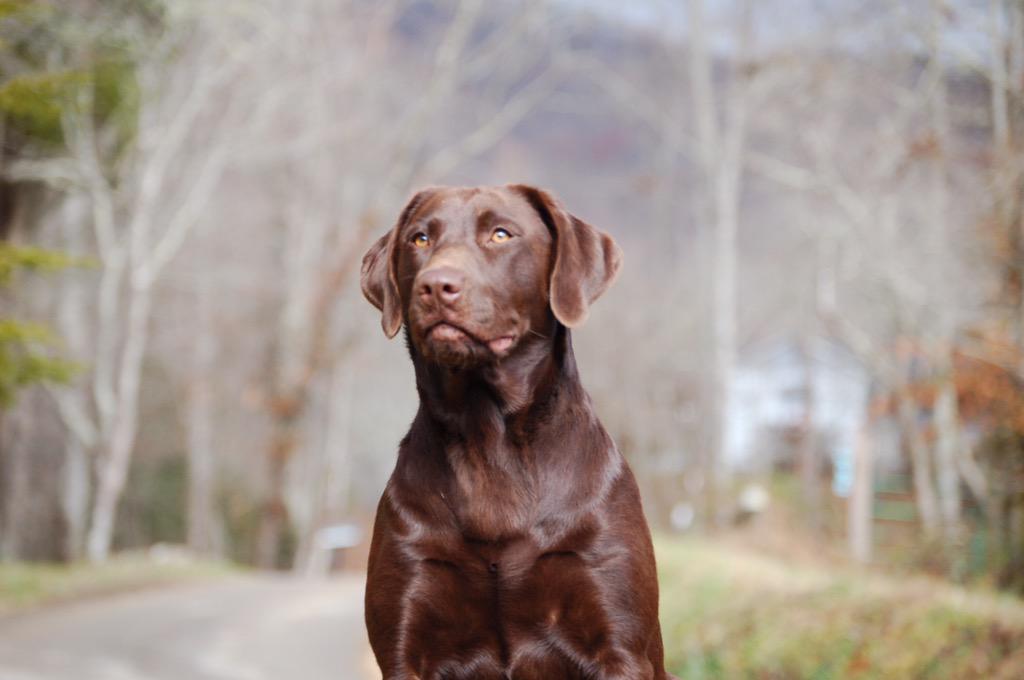 matt holbrooks (@surffisher7) on Twitter photo 