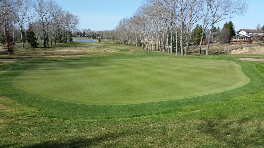 Visited Broadmoor and Edmonton CC last week. Close to perfect. Bubble wrap insulator under white impermeable.