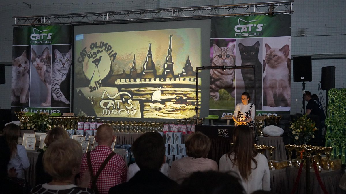 Smilsukino's tweet photo. Starptautiskās kaķu olimpiādes atklāšana Rīgā #mjau #WorldCatFederation http://t.co/wfdFye7x4R