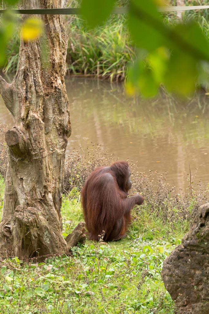 PerfectPixelsUk's tweet image. Gone fishing....... Without a rod!