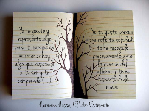 SangreDelirante's tweet photo. Yo te gusto...

- Hermann Hesse: "El Lobo Estepario"- http://t.co/4SsZFNFEK7