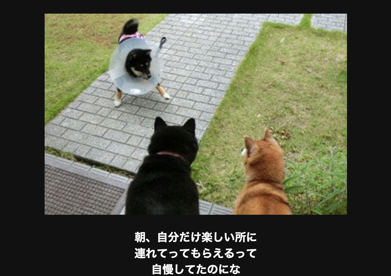 ごる猫 S っ Fwf っ A Twitter 爆笑注意 思わず吹き出してしまう画像大喜利21選 Http T Co Nevzwrxppc Http T Co Ly0vrxyjew Twitter