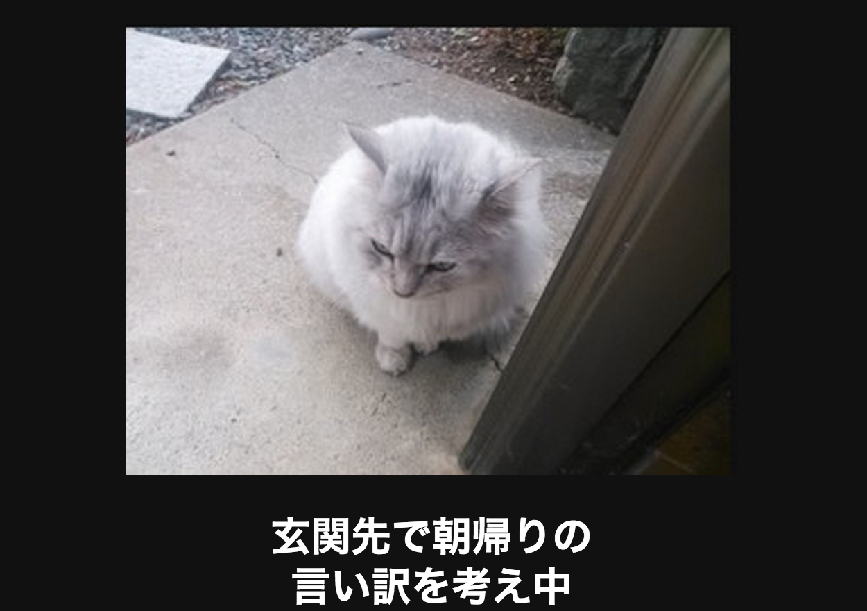 ごる猫 S っ Fwf っ 爆笑注意 思わず吹き出してしまう画像大喜利21選 Http T Co Nevzwrxppc Http T Co Ly0vrxyjew Twitter