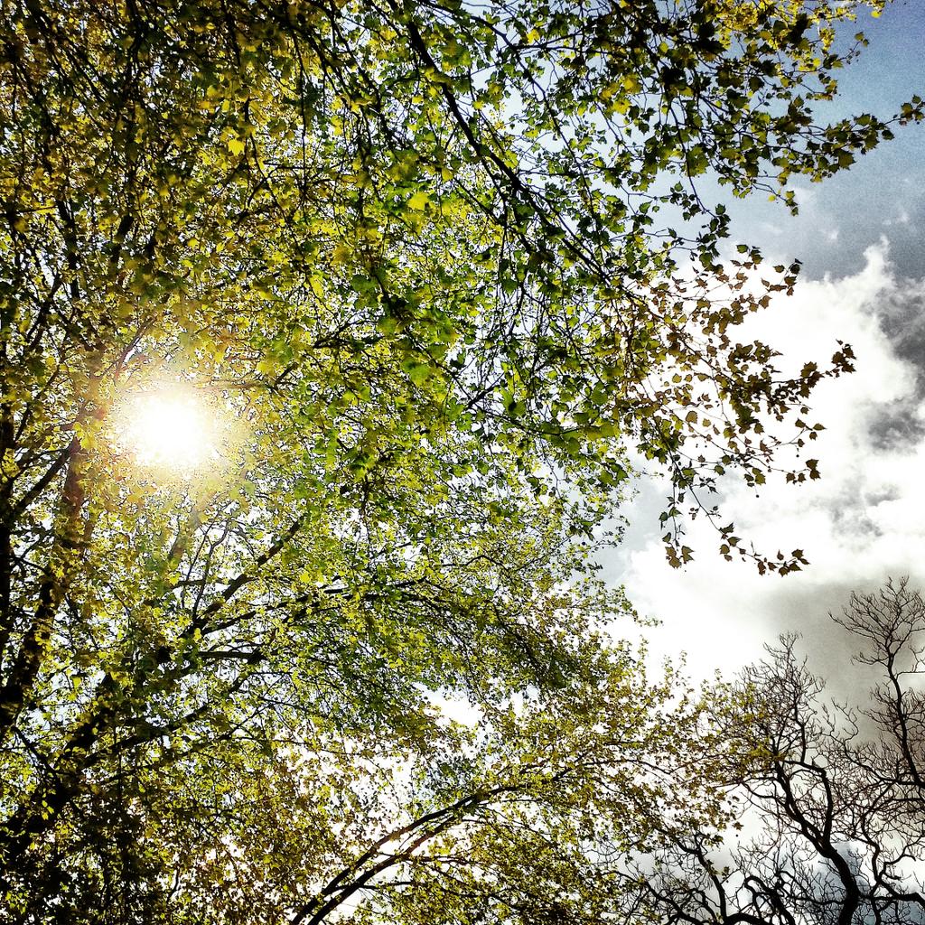 kellylaracurtis's tweet photo. Surprisingly it turned out to be a gorgeous day in London!  #london #urban #sunshine http://t.co/BBhIl67vwg