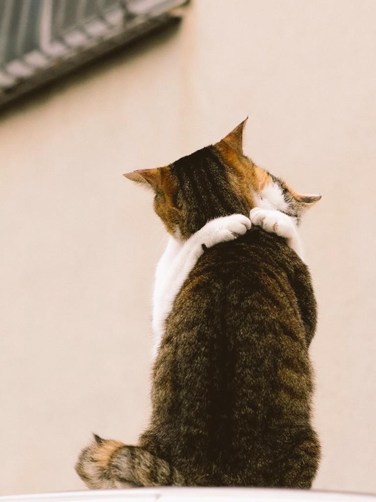 #whats up tweet media