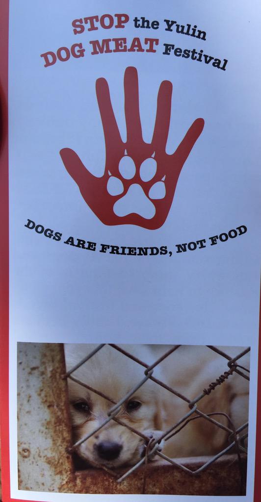 Sal_LaBarbera's tweet image. Stop #YulinGetDogsOffTheMenu #DogMeatTrade  please visit duoduoproject.org
