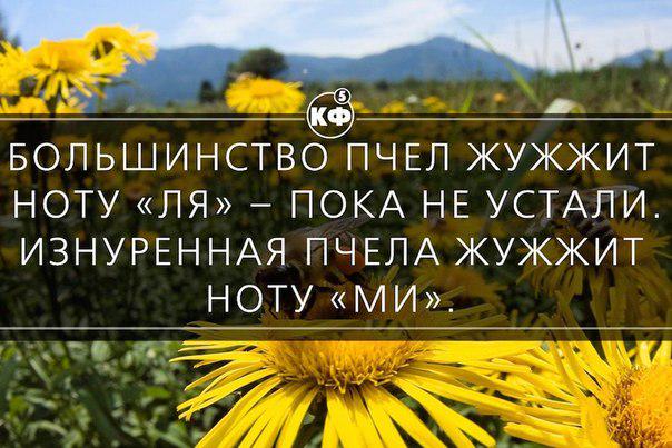 Интересный факт.