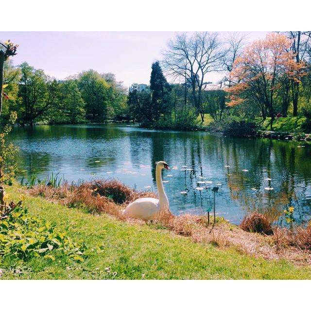 A Sunday kind of love 💕 http://t.co/iDmWg0EXVv http://t.co/wz7h5PempN<a href="/tag/sunday"class="tags"><span>#sunday</span></a>