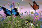 d419ab09449249c's tweet photo. Dua sejoli kupu kupu http://t.co/PJcX4M5IjB