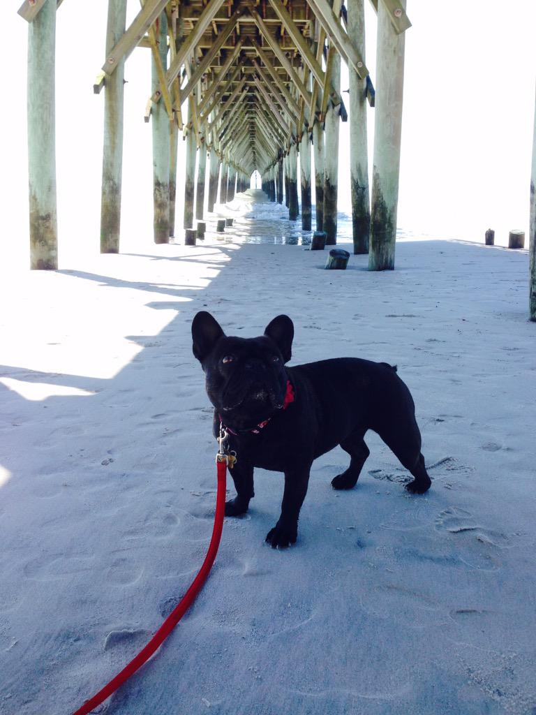 I love this spot. It's shady but can still hear  the waves. #UnderTheBoardwalk #ChloeInNC