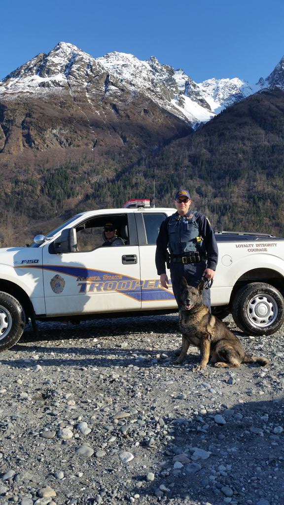 K9 Chevron at Pioneer Peak #k9 #alaskastatetroopers