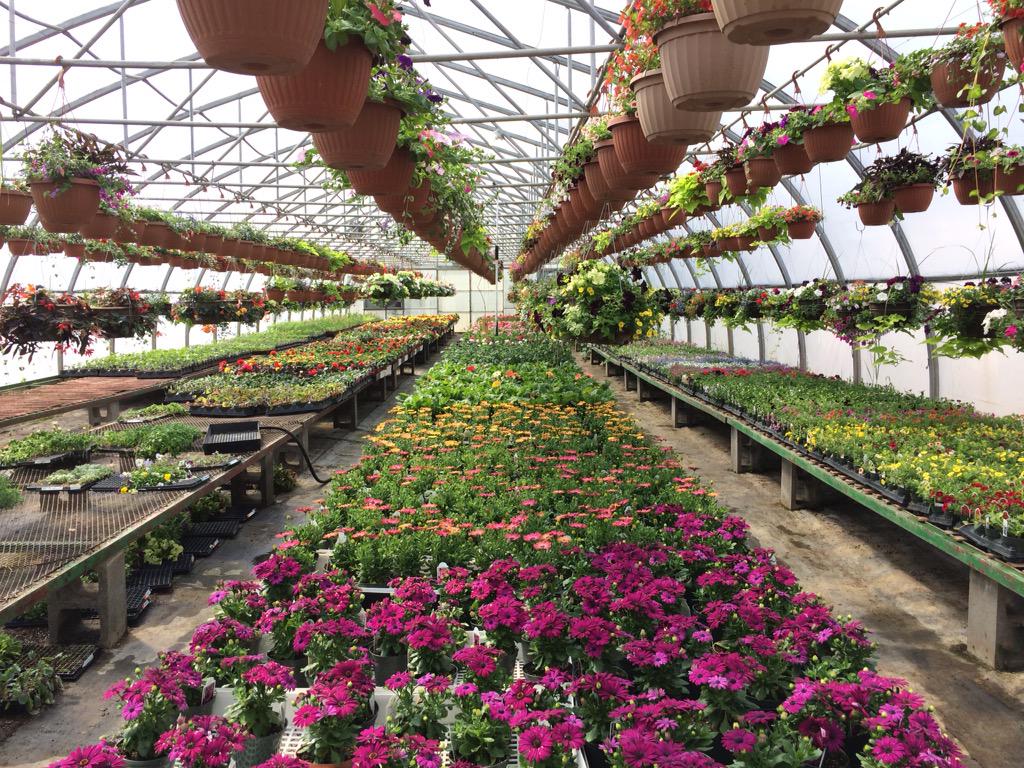 Linda Slits tweet media