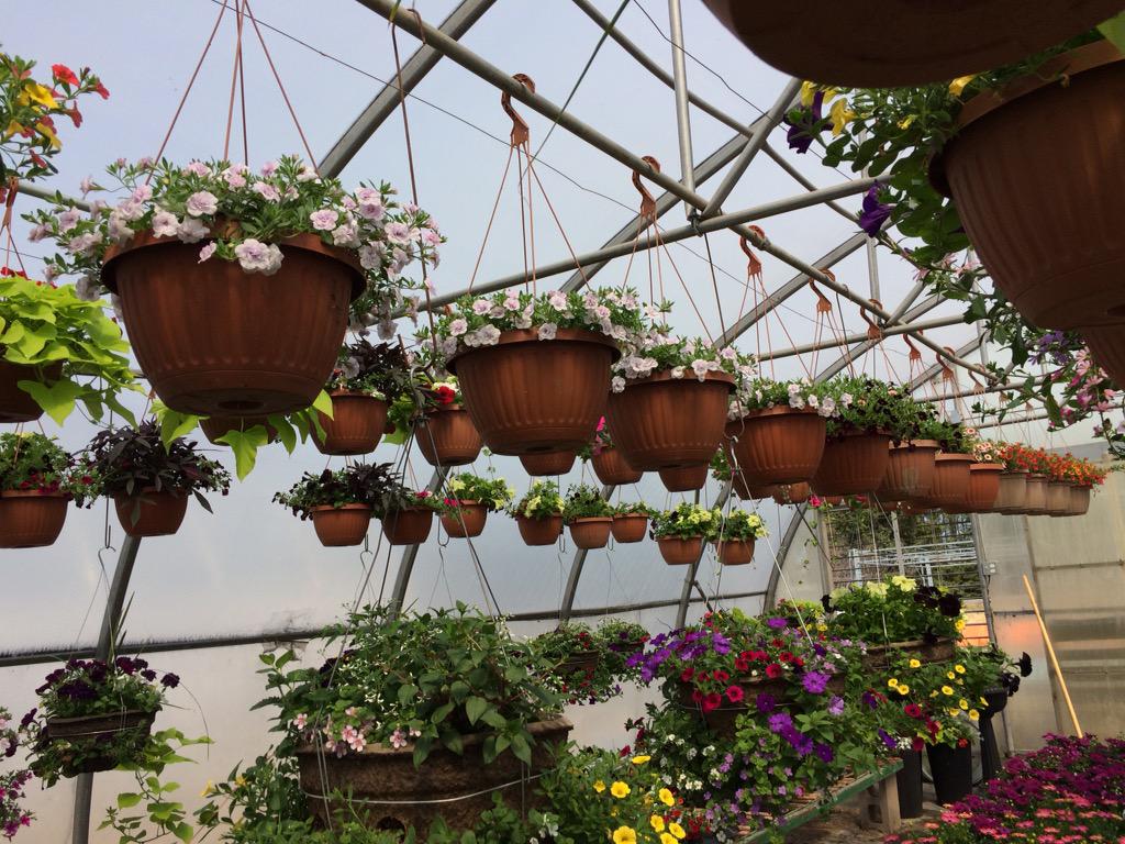 Linda Slits tweet media