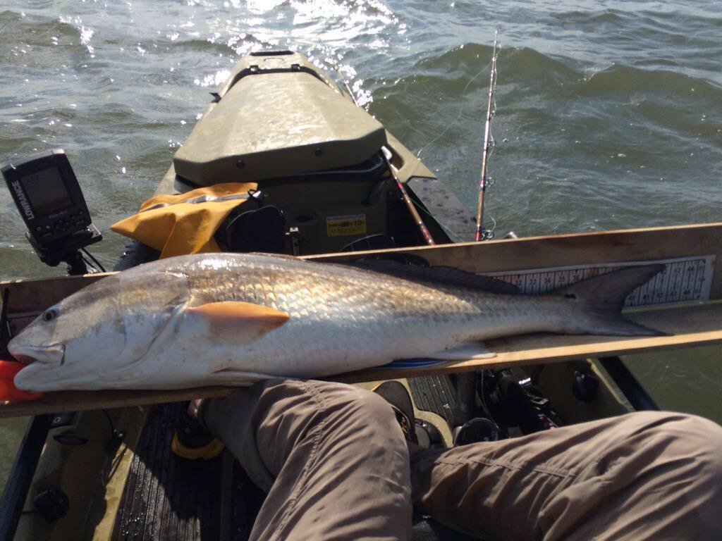 GuysThatFish's tweet photo. Nice bull @legocrusader ๐๐ป๐ฃ๐๐ป #kayakfishing #fishing #GuysThatFish http://t.co/iS2z5sGnag