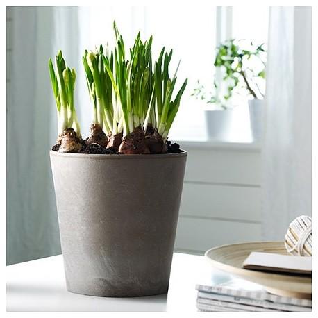 myStNeots's tweet photo. Event Reminder : Little Paxton Gardening Club - Tuesday 6th May
http://t.co/2itsTfmjjf #StNeots http://t.co/m5wOp3gz23