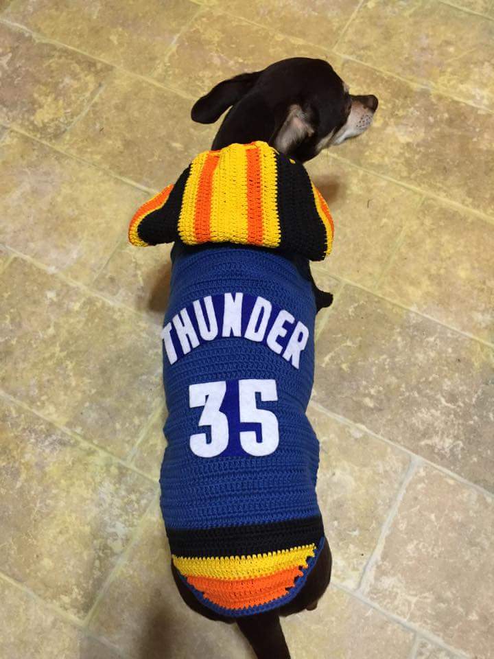 kevin durant dog jersey